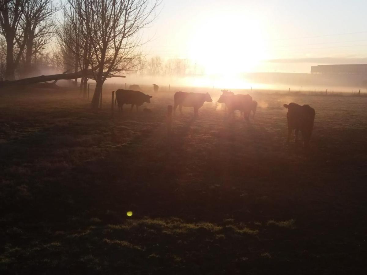 Agriturismo Cascina Pezzolo Affittacamere Lodi Esterno foto